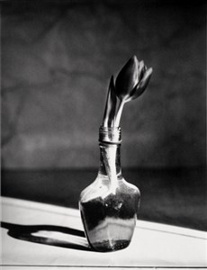 Image description is not available for 2010.069